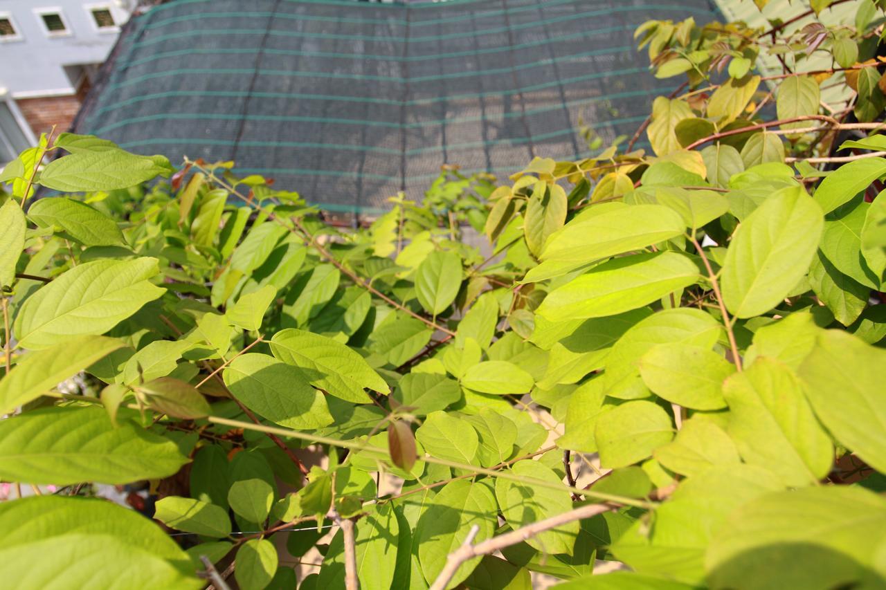Ngoc Minh Hotel Ho Chi Minh-staden Exteriör bild